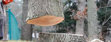 Best Firewood Processing and Delivery  in Marysville, KS