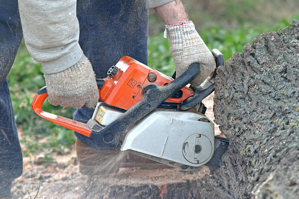 Best Pest Control for Lawns  in Marysville, KS